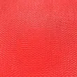 Tecido Tule 2,40 Metros - Vermelho Tecido Tule 2,40 Metros - Vermelho