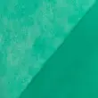 TNT 1,40 Largura - Verde claro