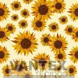 Tecido Microfibra Estampa Digital - Flo(115) - floral