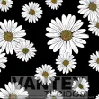 Tecido Microfibra Estampa Digital - Flo(170) - floral