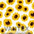 Tecido Microfibra Estampa Digital - Flo(191) - floral