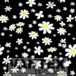 Tecido Microfibra Estampa Digital - Flo(39) - floral