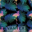 Tecido Microfibra Estampa Digital - Psr(18) - pássaro, flamingo