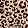 Tecido Microfibra Estampa Digital - Pel(85) - peles, onça